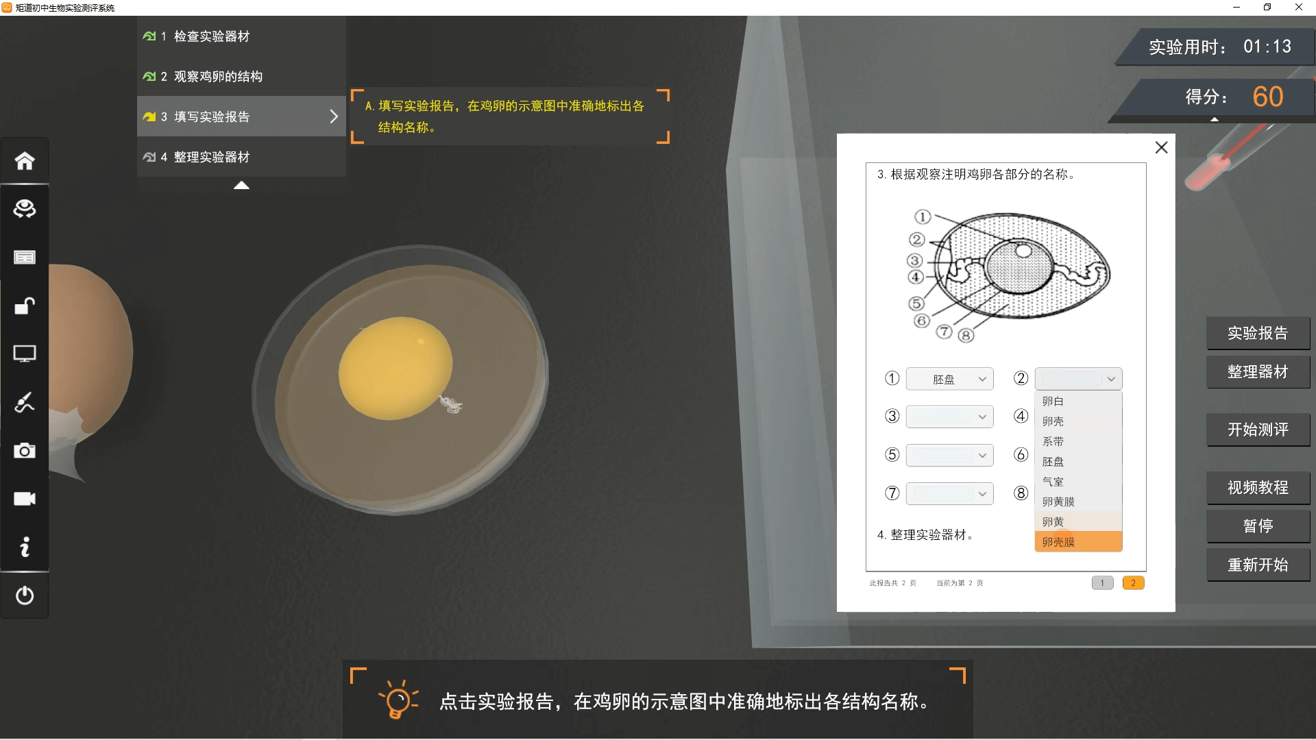 生物-观察鸡卵的结构